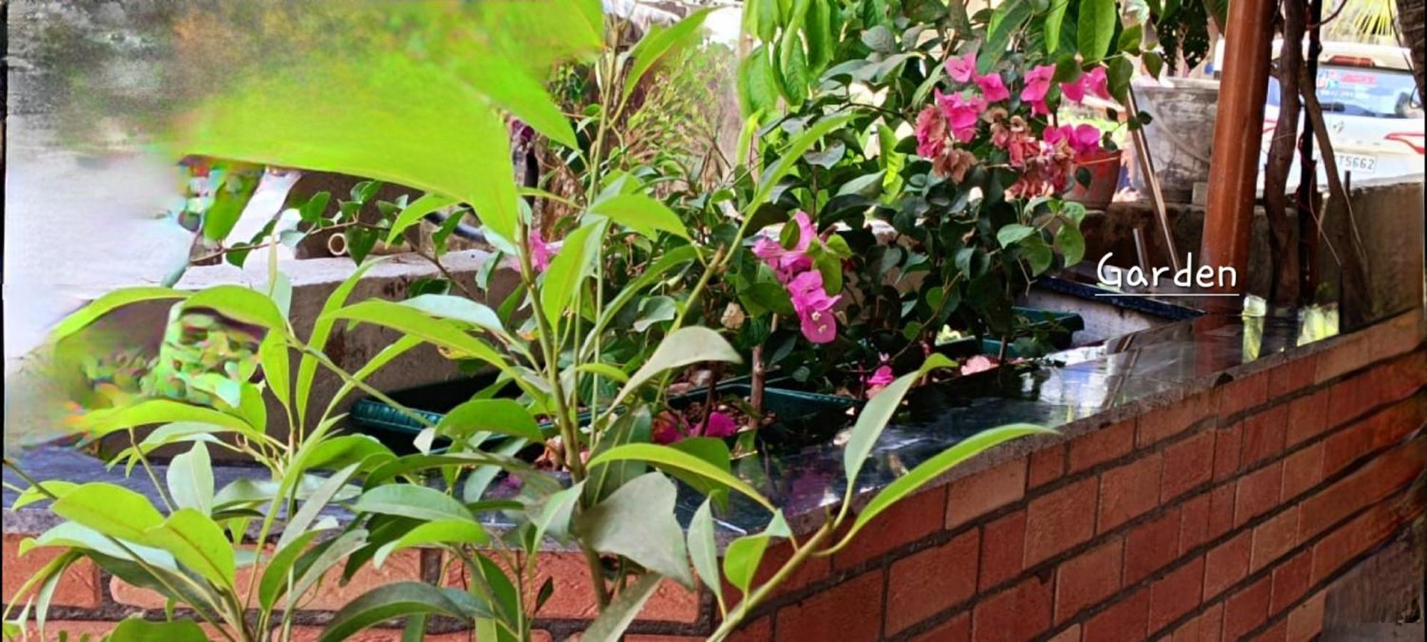 Oasis Homestay Kochi 外观 照片