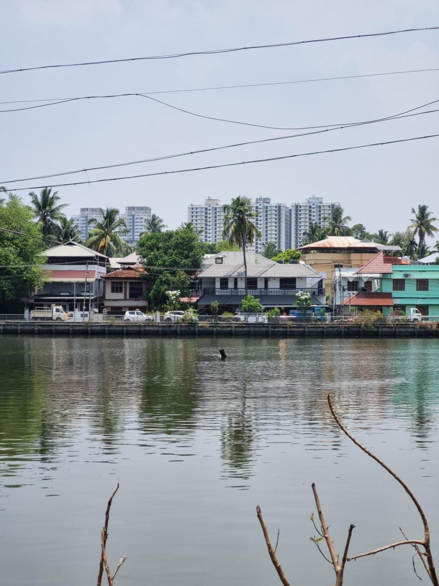 Oasis Homestay Kochi 外观 照片